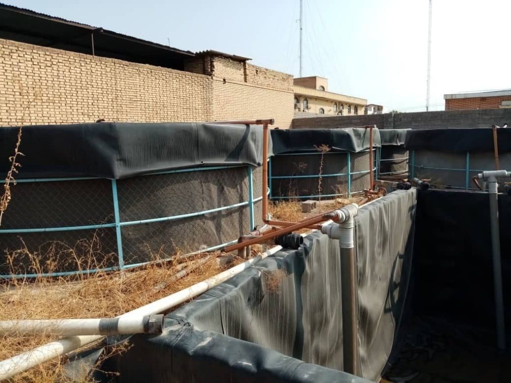 نمونه ای از اقدامات انجام شده طرح اشتغال زایی و خود کفایی بنیاد نیکوکاری نور آل یاسین در مناطق کم برخوردار