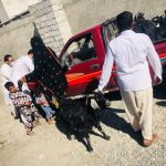 طرح اشتغال زایی و خودکفایی مناطق محروم بنت استان سیستان و بلوچستان